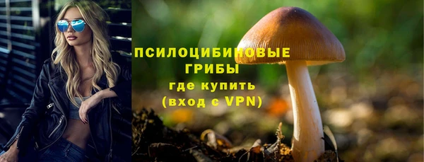 mdpv Армянск