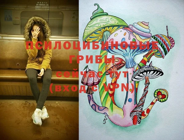 дурь Арсеньев