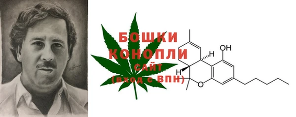 дурь Арсеньев
