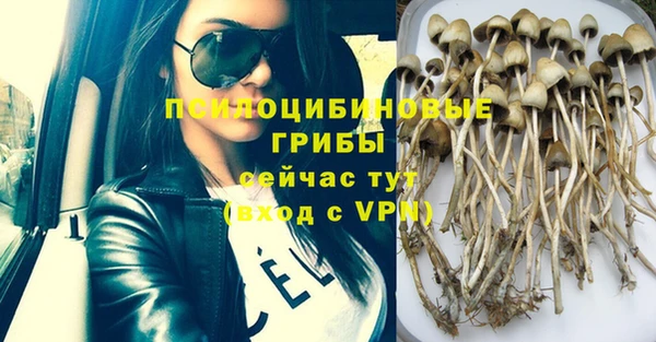 MDMA Premium VHQ Аркадак