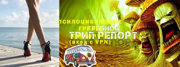 дурь Арсеньев