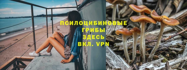 mdpv Армянск