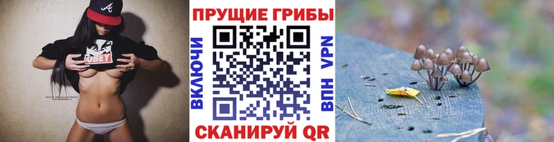 Галлюциногенные грибы прущие грибы  даркнет какой сайт  Зея  как найти закладки 